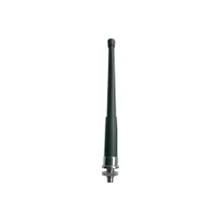 BANTEN Antenne AM/FM 25 cm