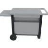 CAMPINGAZ Chariot Deluxe pour plancha 2 brûleurs