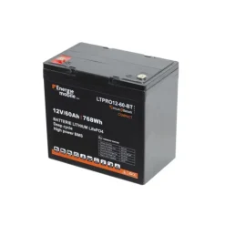 EM Batterie Lithium LTPRO 12-60 AH HD-P-BT - 768 Wh