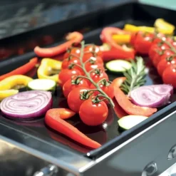 ENO Cook' N Boat plancha | gaz