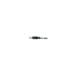 HABA Barre led Daiano