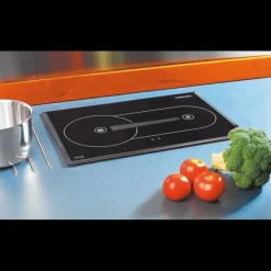 WEBASTO Cooker X100